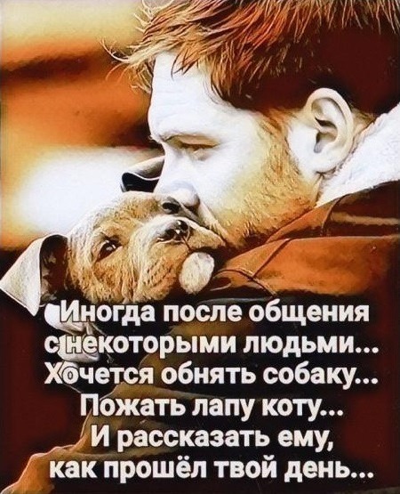 Кота выбросили на трассе Красноярск-Канск