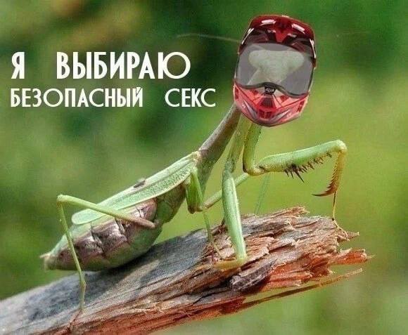 Взрослый юморок