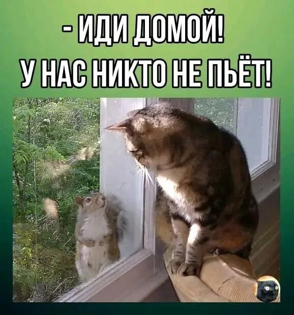 Так себе картинки 12.05.25