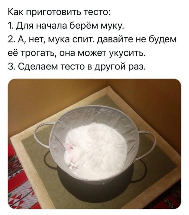 Для настроения в четверг!