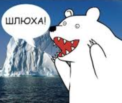 Упавшую женщину извлекли из вольера с белыми медведями