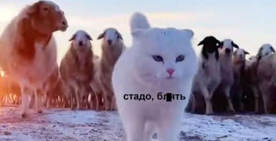 В РФ предлагают штрафовать за "дискредитацию духовных ценностей"