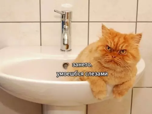 Картиночки, баянчики 12 марта