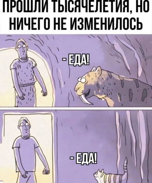 Картинки для деградации 204 (разной степени свежести)