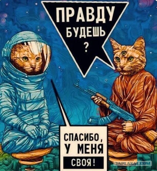 Почему самый добрый человек становится агрессором, стоит покуситься на его картину мира?