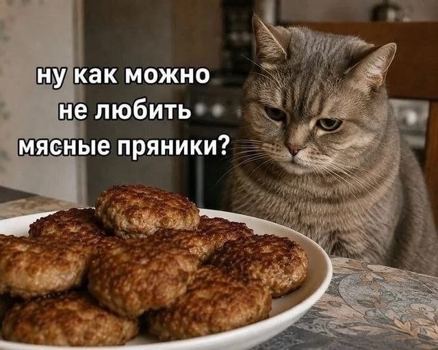 Несколько слов о пушистом с фото