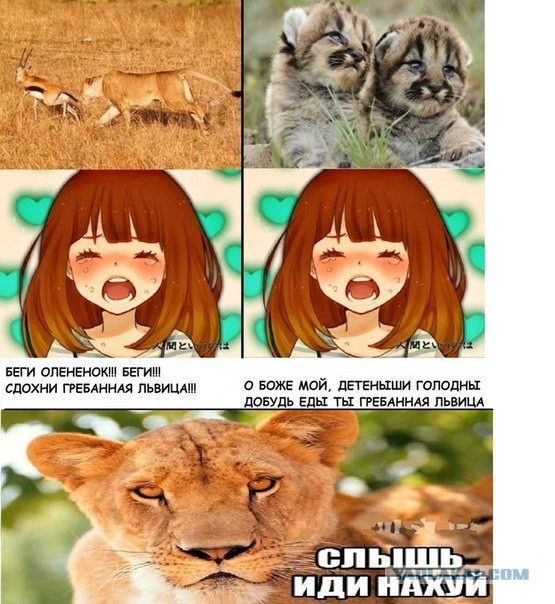 Двойные стандарты!