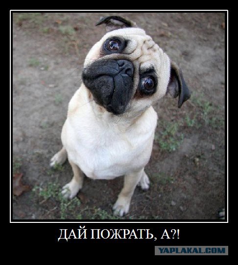 Добряки, плюсующие всех подряд