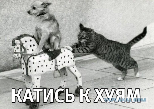 Про погибших на Донбасе псковских десантников...