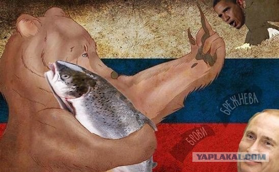 Обама доел за медведем лосося