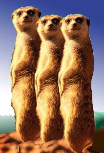 В Кремле насторожились из-за колебания курса рубля