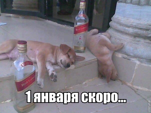 Картинки на утро вторника