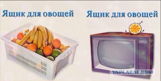 Ведущие LifeNews на работе и вне работы