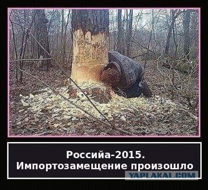 Налоги, акцизы. Давайте попробуем разобраться!