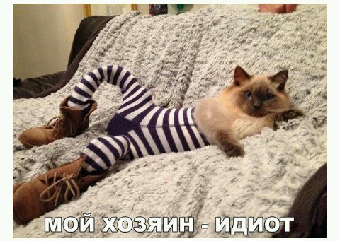 Подборка картинок на среду