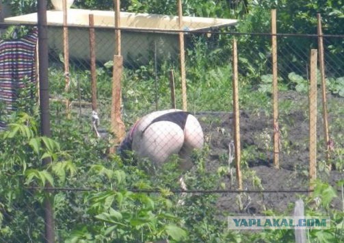 Дачные приколы