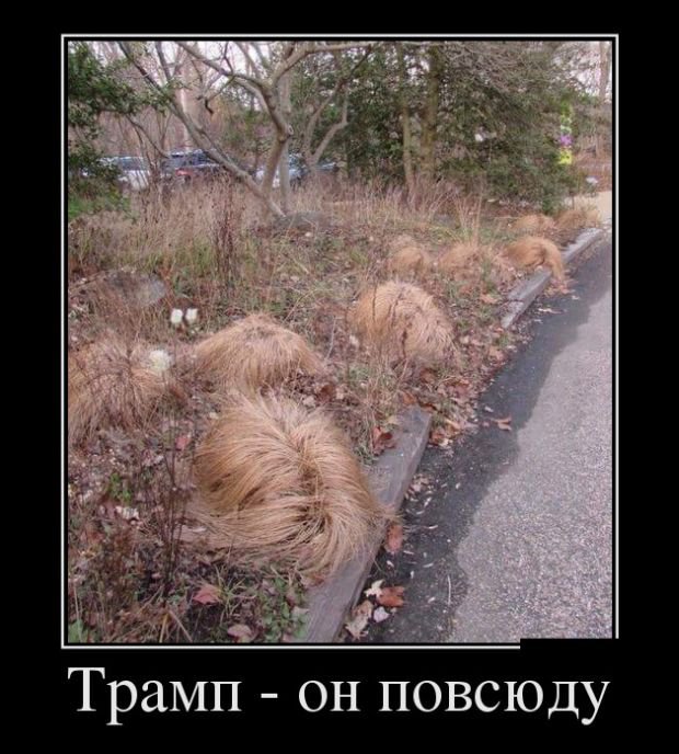 Фото-винегрет на субботу