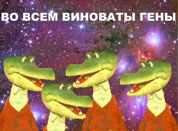 Подборка интересных и веселых картинок