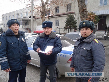 Весеннее обострение в Питере