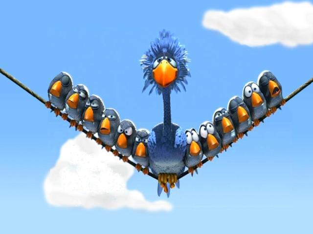 Птичкам от владика владику от птичек картинка прикол