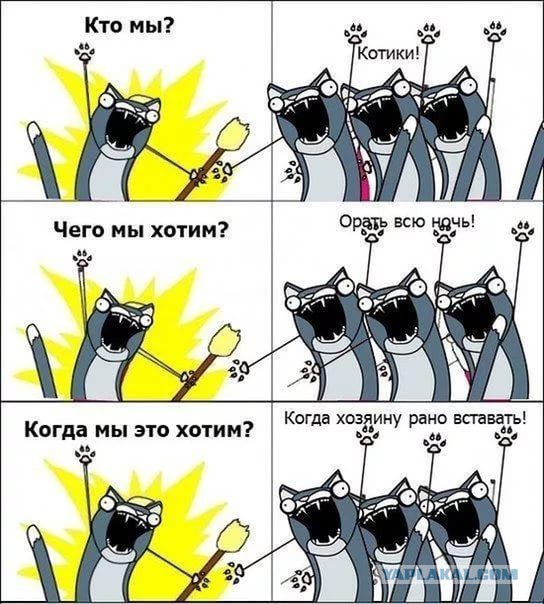 Шестое чувство