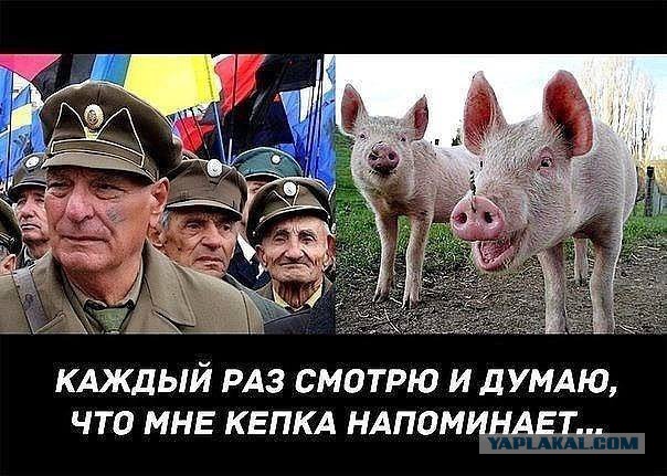 Украинский мир в лице "хероя ато" пришел в ТЦ Днепропетровска