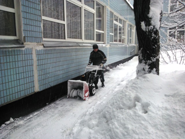 В России никогда не будет платного образования