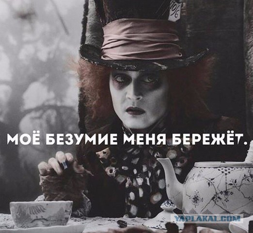 Подборка интересных и веселых картинок