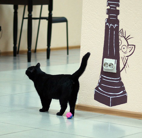 Котовторник 9.01.2018