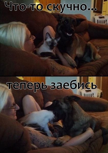 Ударная доза тупежа и деградации