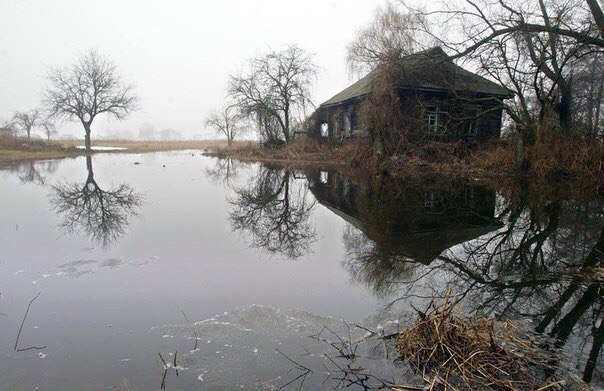 Когда люди ушли
