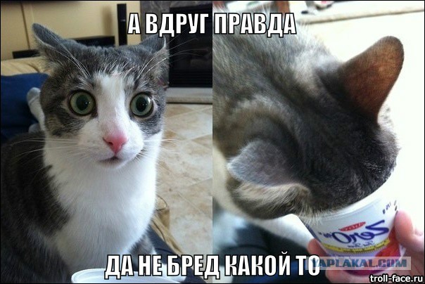 В Госдуме предложили отменить налоги для россиян с одной квартирой и машиной