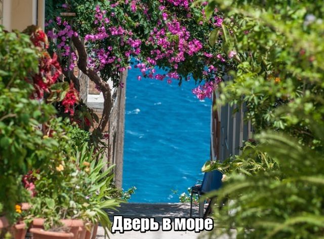 Нестандартный юмор