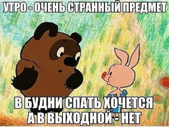 Итоги проверки пользователей