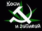 Итоги проверки пользователей