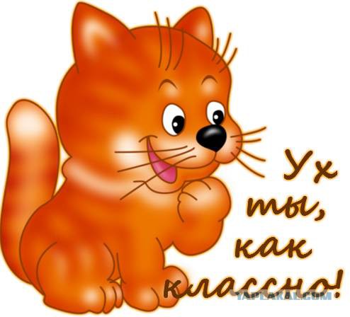 Бар в гараж