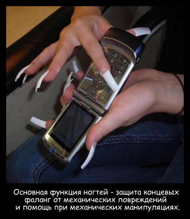Брови, ногти и...