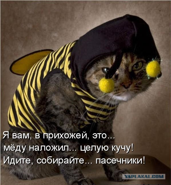 Через 17 лет исчезнут пчелы, и мир останется без фруктов