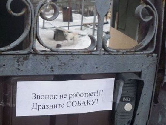 Прикольные надписи и объявления