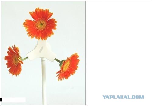Угадайки