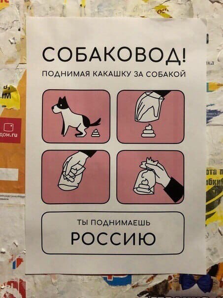 Владельцы собак. Я Вас ненавижу. Вы задолбали, вы тупые что ли?