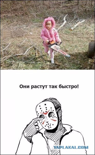 Картинки
