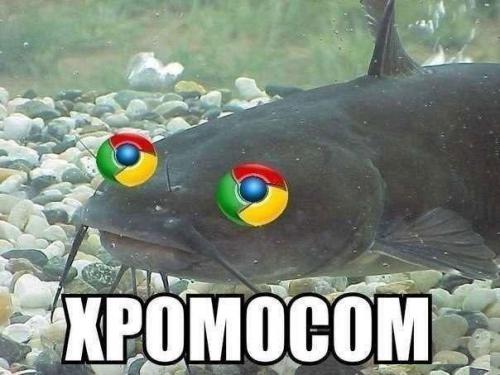 Немного картинок для настроения 28.01.20