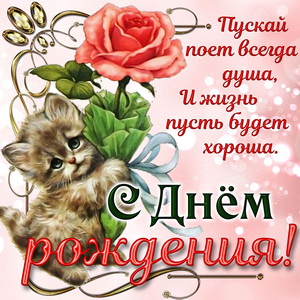 Жизнь домашнего приюта для котеек 278