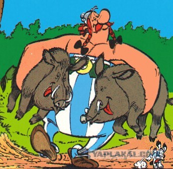 Улицы Израиля заполонили дикие кабаны