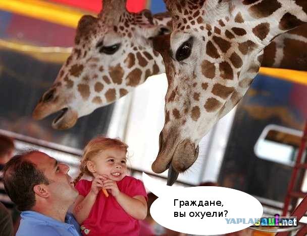 Фотожаба: Граждане!