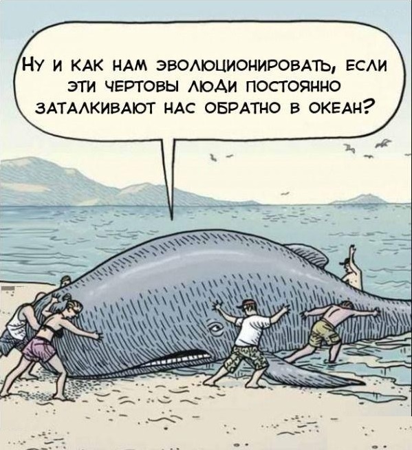 Выпустил "рыбку" обратно