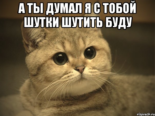 Трахаются они тут