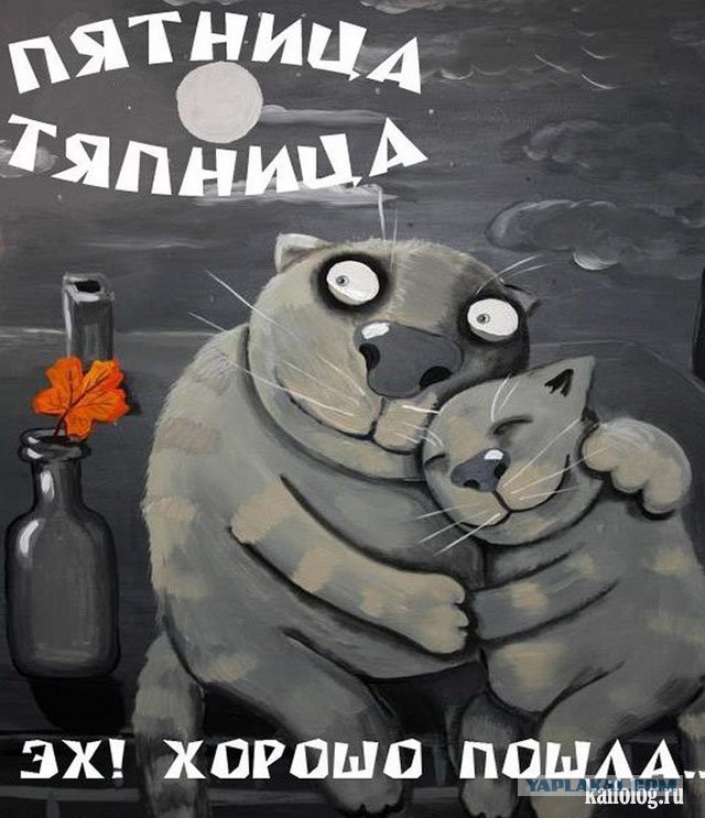 Прикольные и просто красивые картинки 21.10.2020