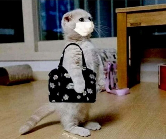 Маленький падонак, которому на всех по*уй